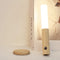 EcoLuxe Magnetic Light