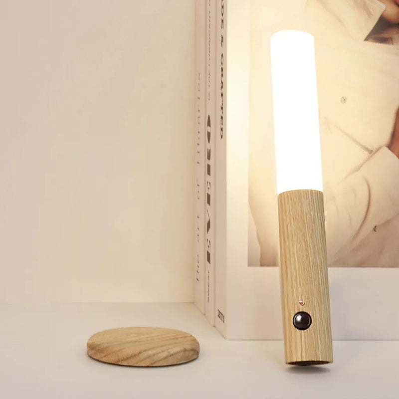 EcoLuxe Magnetic Light